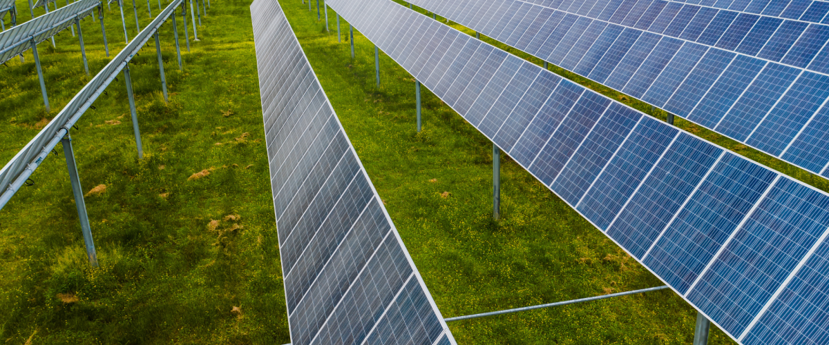 Untitled design - 2023-07-06T002313.261